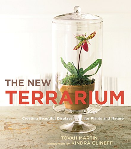 Algopix Similar Product 11 - The New Terrarium Creating Beautiful