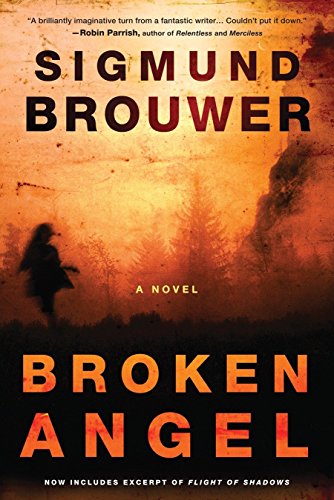 Algopix Similar Product 14 - Broken Angel A Novel Caitlyn Brown