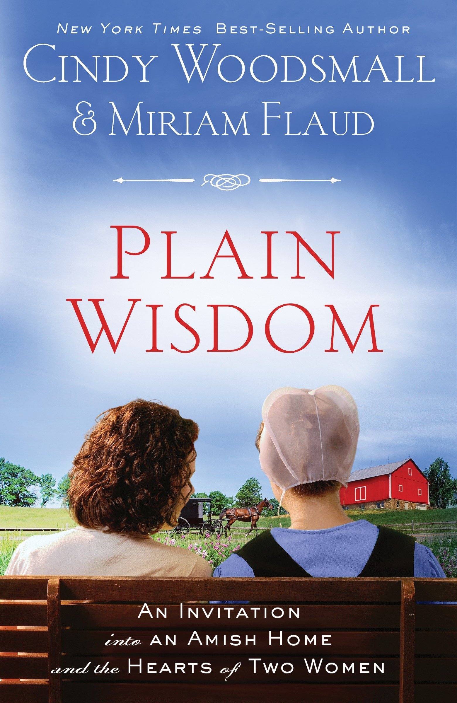 Algopix Similar Product 15 - Plain Wisdom An Invitation into an