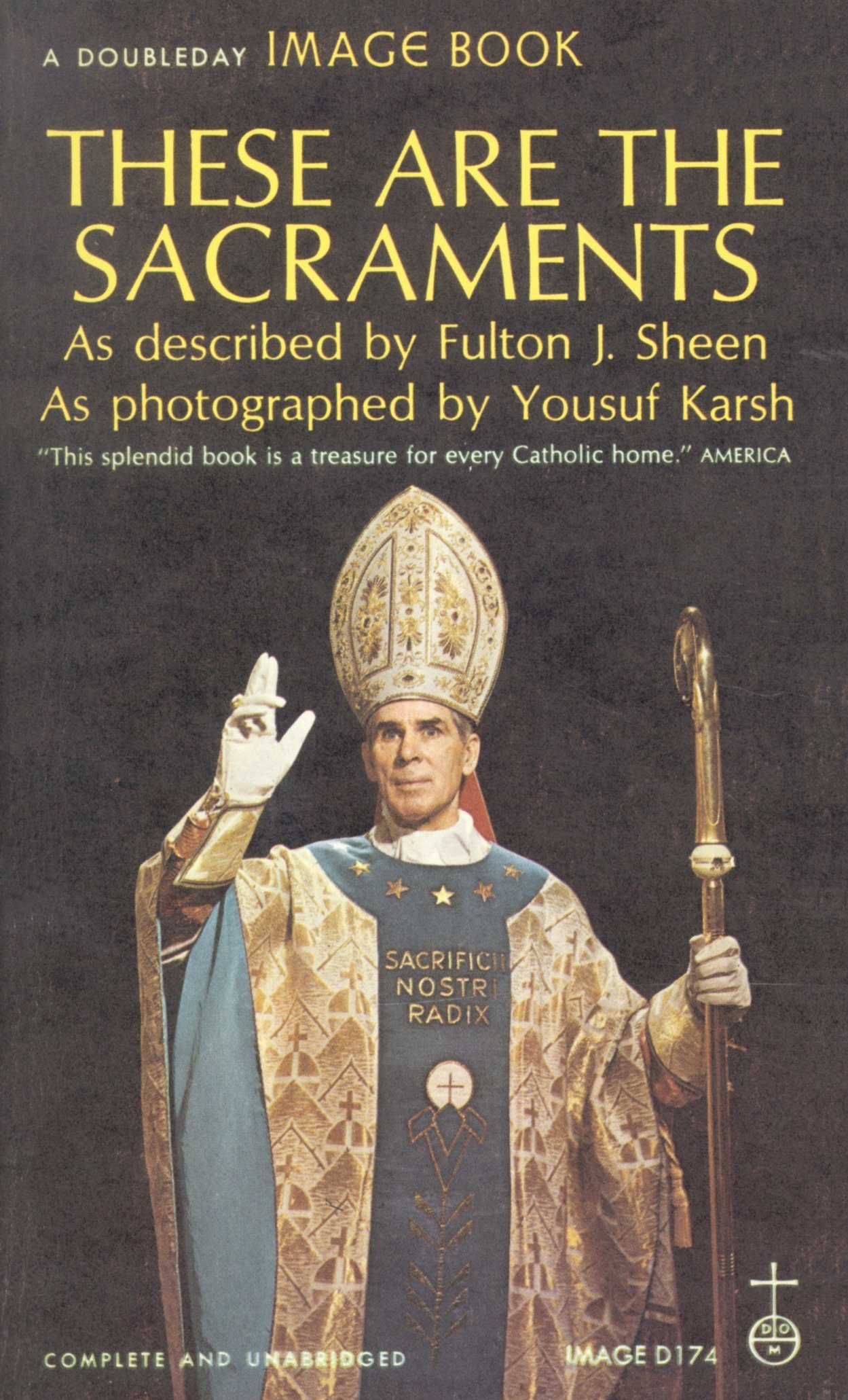 Algopix Similar Product 11 - These Are the Sacraments