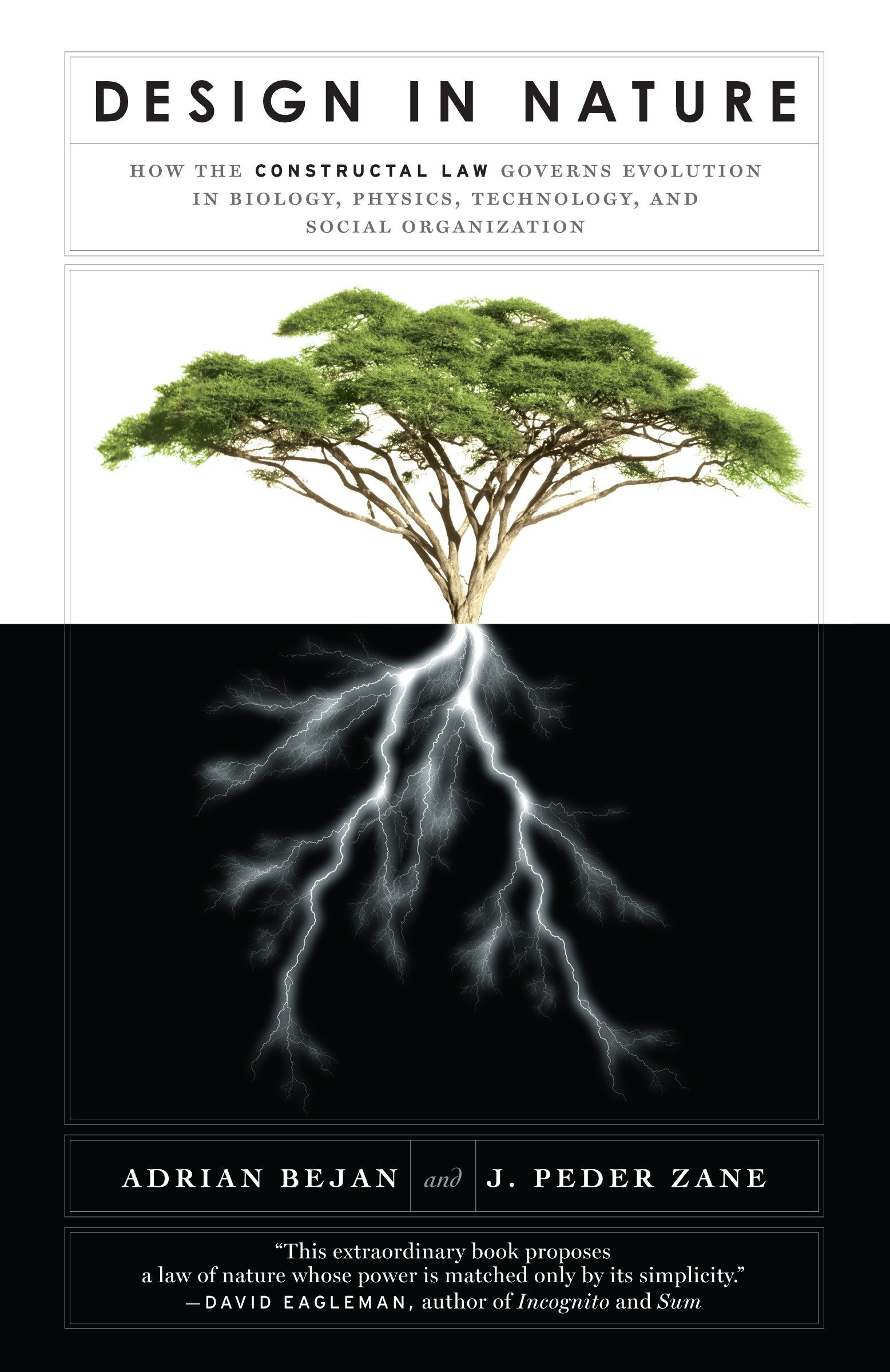 Algopix Similar Product 4 - Design in Nature How the Constructal