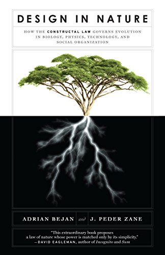 Algopix Similar Product 8 - Design in Nature How the Constructal