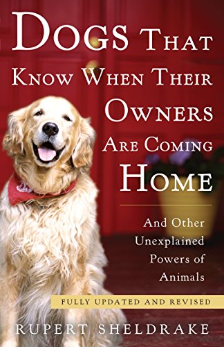 Algopix Similar Product 10 - Dogs That Know When Their Owners Are