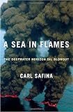 Algopix Similar Product 10 - A Sea in Flames The Deepwater Horizon