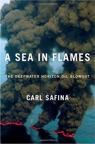 Algopix Similar Product 19 - A Sea in Flames The Deepwater Horizon