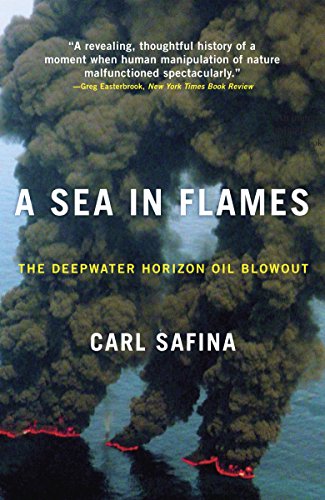 Algopix Similar Product 20 - A Sea in Flames The Deepwater Horizon
