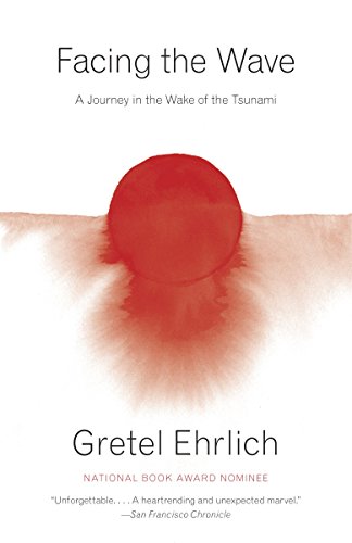Algopix Similar Product 4 - Facing the Wave A Journey in the Wake