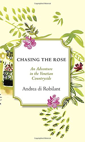 Algopix Similar Product 13 - Chasing the Rose An Adventure in the