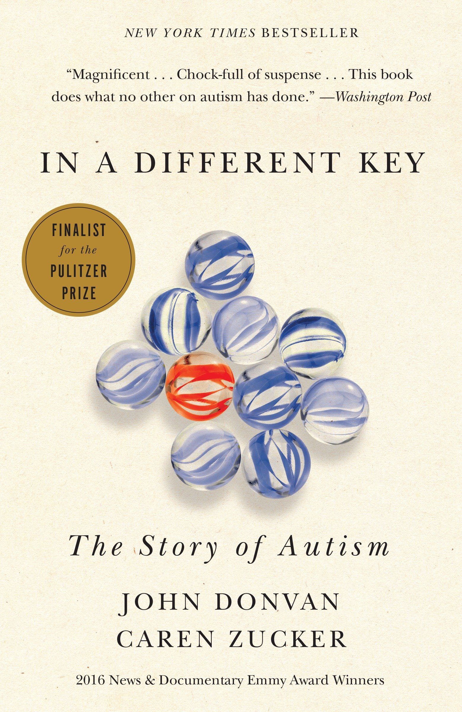 Algopix Similar Product 11 - In a Different Key: The Story of Autism