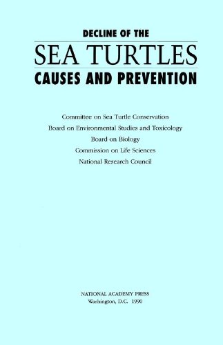 Algopix Similar Product 8 - Decline of the Sea Turtles  Causes and