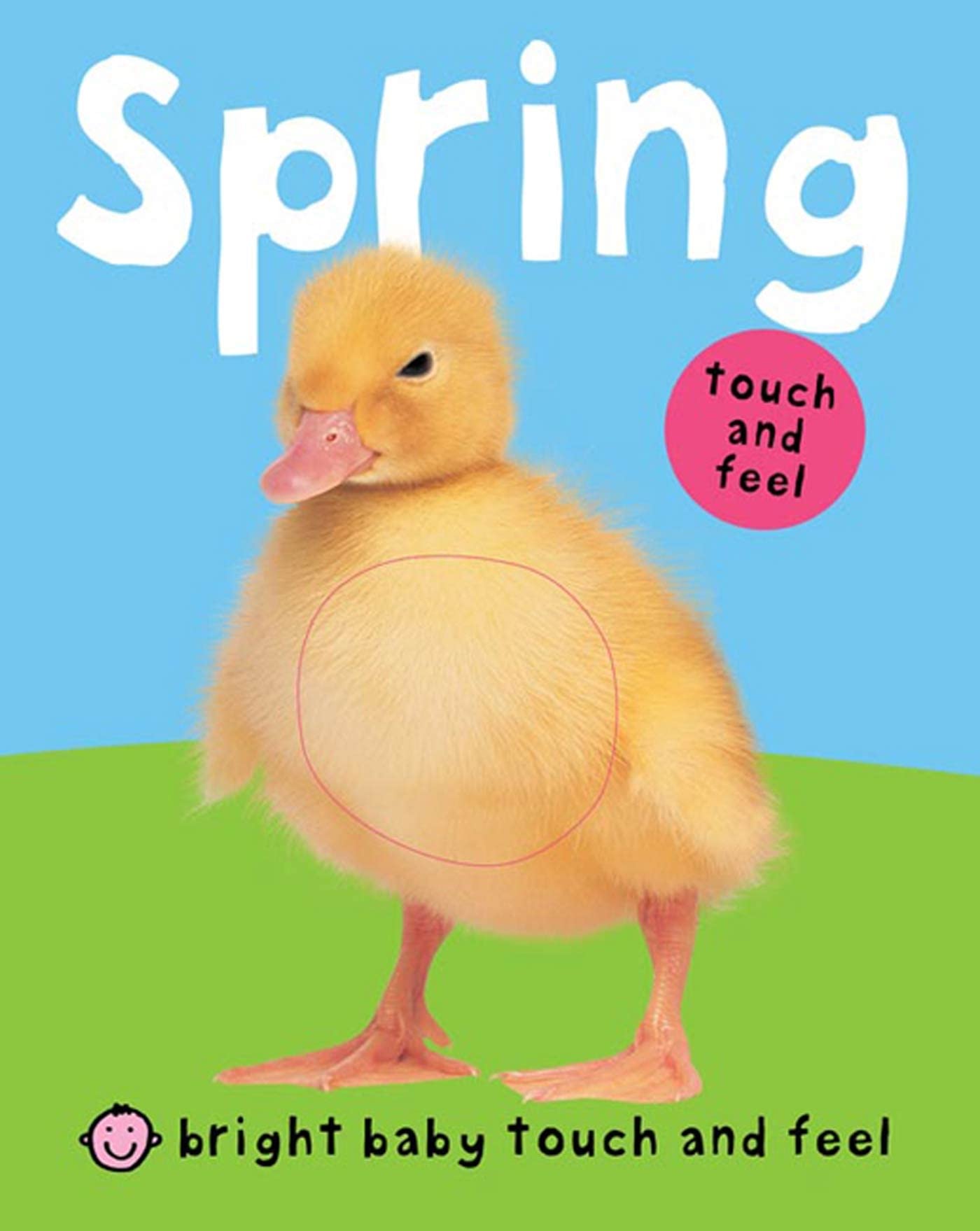 Algopix Similar Product 19 - Bright Baby Touch and Feel Spring