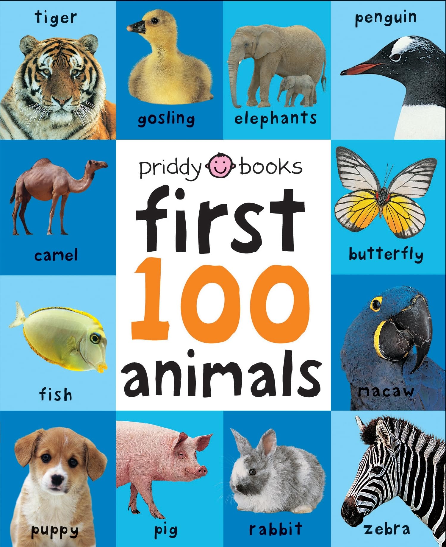 Algopix Similar Product 13 - First 100 Big Board Animals In the