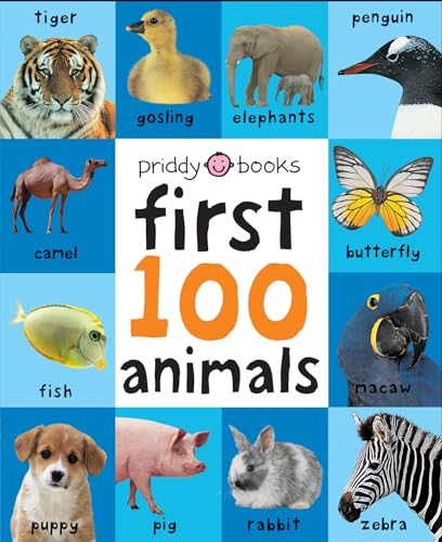 Algopix Similar Product 18 - First 100 Big Board Animals In the