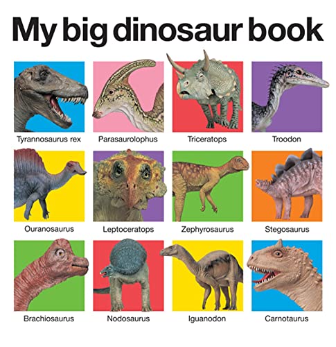 Algopix Similar Product 2 - My Big Dinosaur Book My Big Board