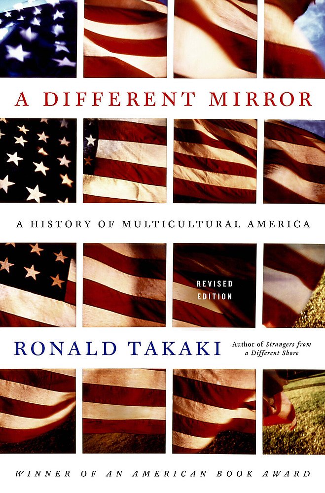 Algopix Similar Product 3 - A Different Mirror A History of