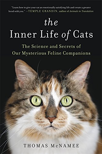 Algopix Similar Product 17 - The Inner Life of Cats