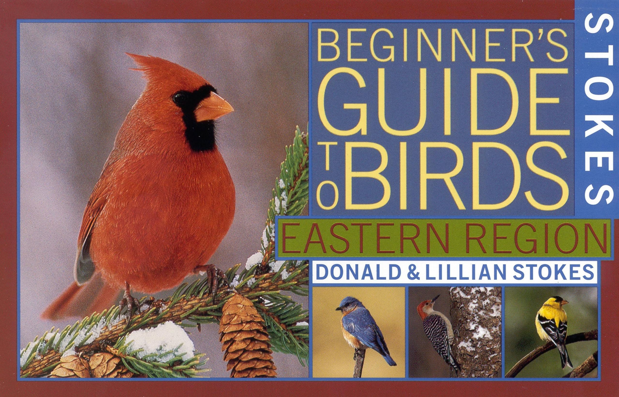 Algopix Similar Product 3 - Stokes Beginners Guide to Birds