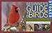 Algopix Similar Product 11 - Stokes Beginners Guide to Birds