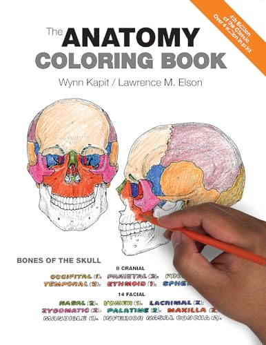 Algopix Similar Product 16 - Anatomy Coloring Book, The