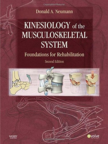 Algopix Similar Product 20 - Kinesiology of the Musculoskeletal