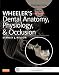 Algopix Similar Product 10 - Wheelers Dental Anatomy Physiology