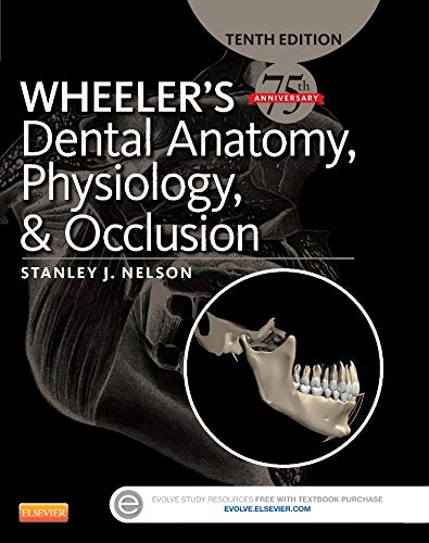 Algopix Similar Product 12 - Wheelers Dental Anatomy Physiology
