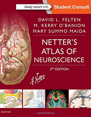 Algopix Similar Product 20 - Netters Atlas of Neuroscience Netter
