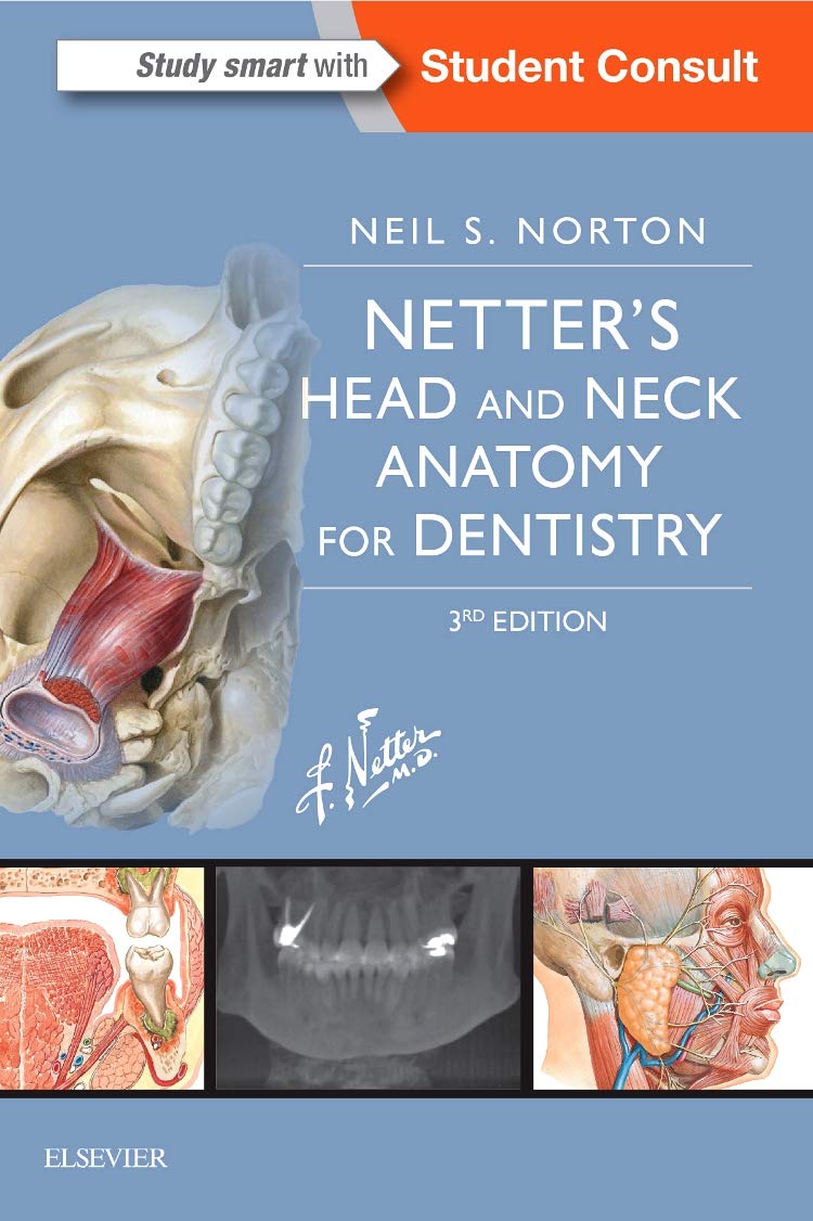 Algopix Similar Product 9 - Netters Head and Neck Anatomy for