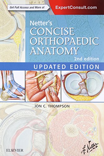 Algopix Similar Product 20 - Netters Concise Orthopaedic Anatomy