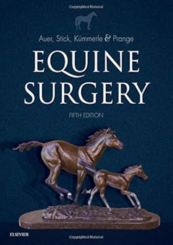 Algopix Similar Product 4 - Equine Surgery