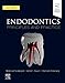 Algopix Similar Product 20 - Endodontics: Principles and Practice