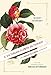 Algopix Similar Product 18 - A Victorian Flower Dictionary The