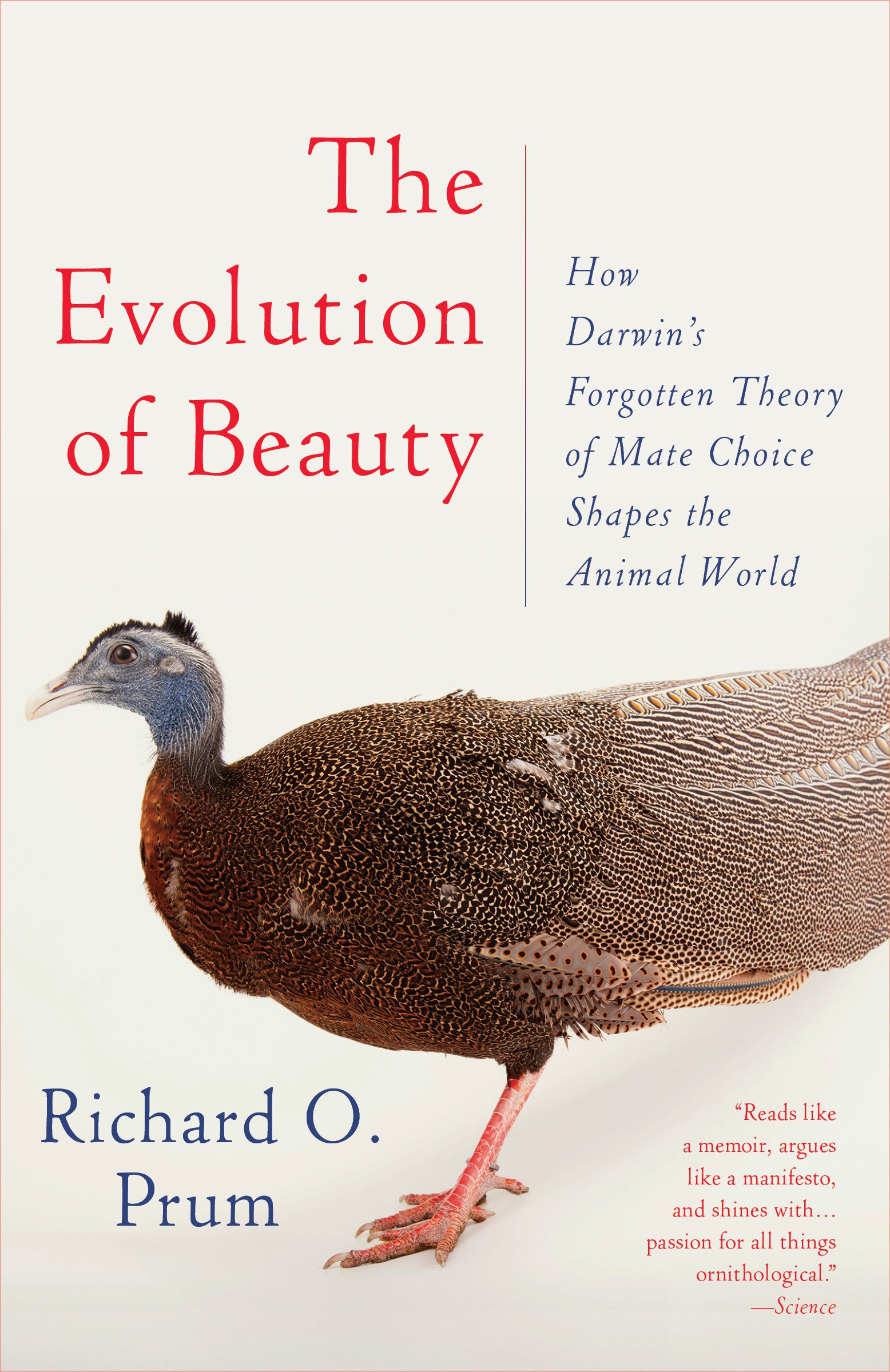 Algopix Similar Product 18 - The Evolution of Beauty How Darwins