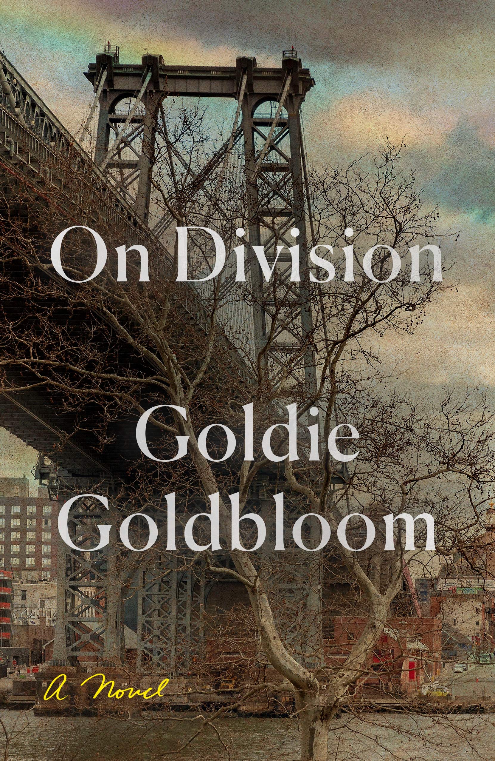 Algopix Similar Product 8 - On Division: A Novel