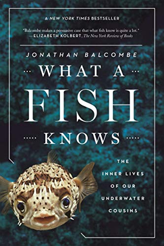 Algopix Similar Product 11 - What a Fish Knows The Inner Lives of