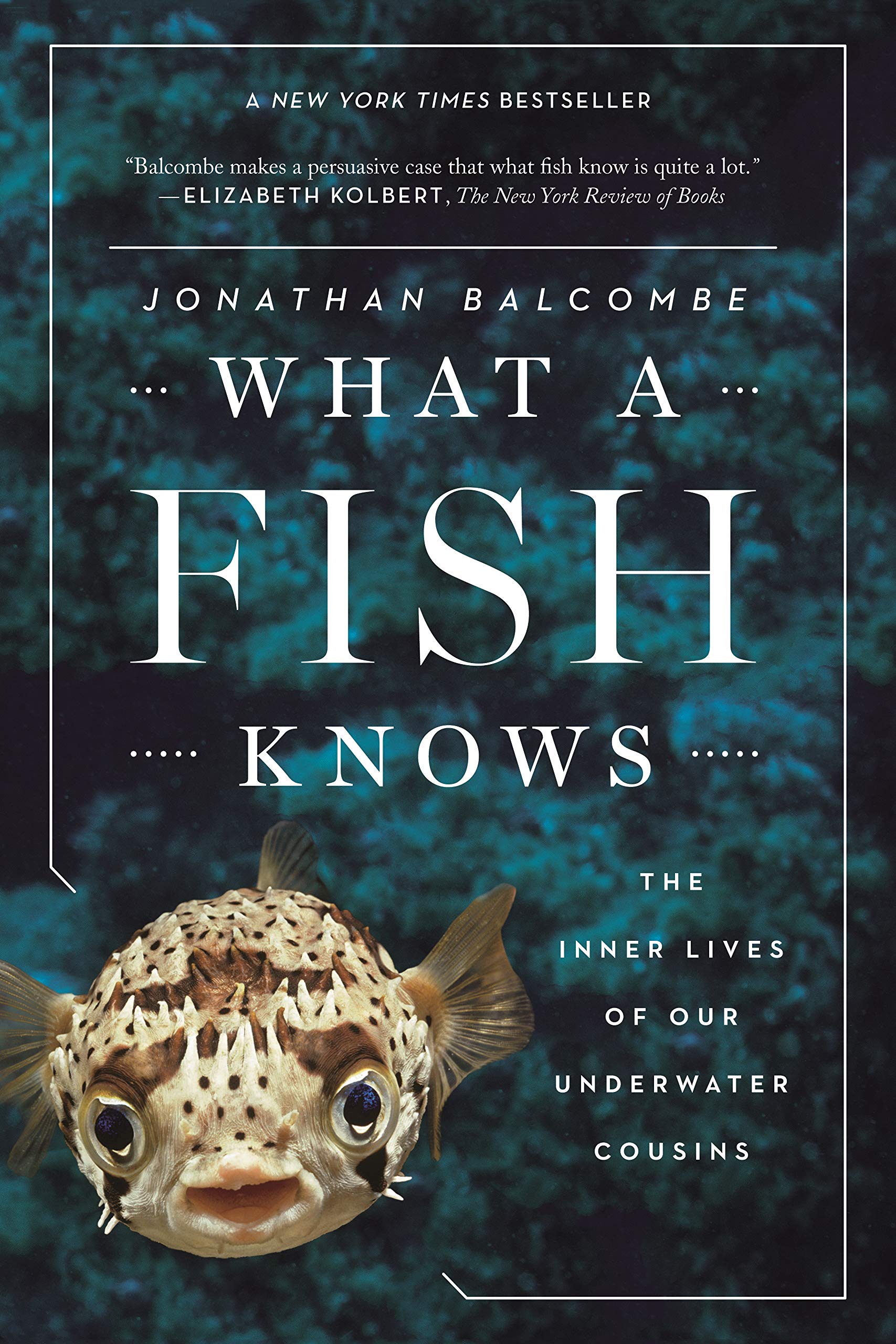 Algopix Similar Product 17 - What a Fish Knows The Inner Lives of