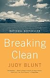 Algopix Similar Product 2 - Breaking Clean