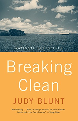 Algopix Similar Product 5 - Breaking Clean