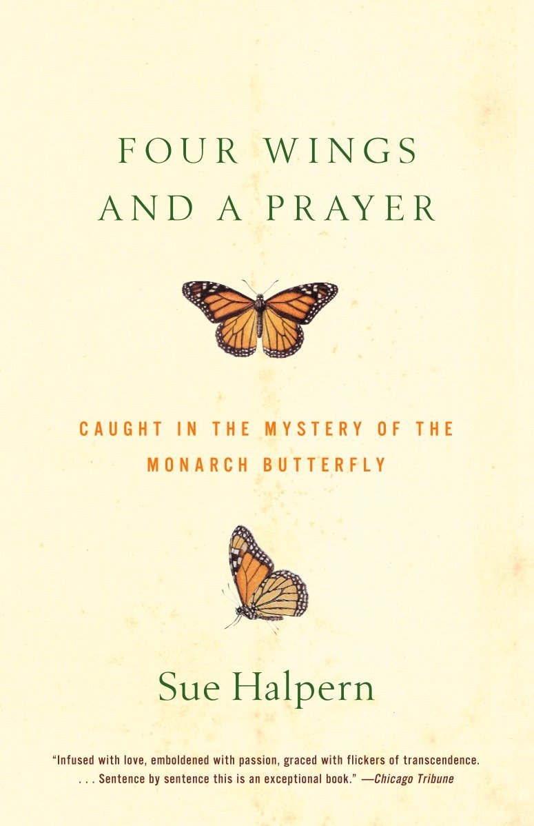Algopix Similar Product 3 - Four Wings and a Prayer Caught in the