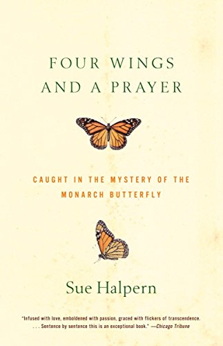Algopix Similar Product 18 - Four Wings and a Prayer Caught in the