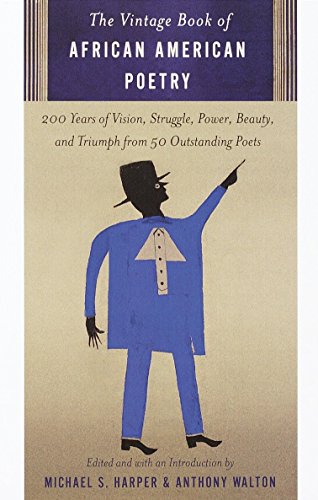 Algopix Similar Product 5 - The Vintage Book of African American