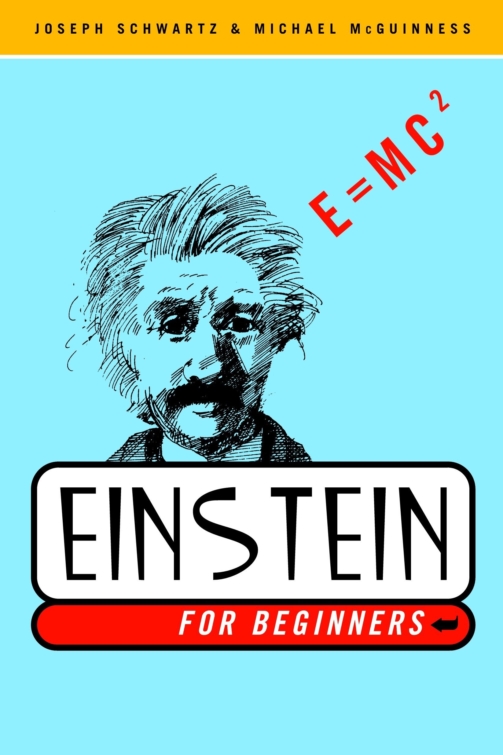Algopix Similar Product 17 - Einstein for Beginners