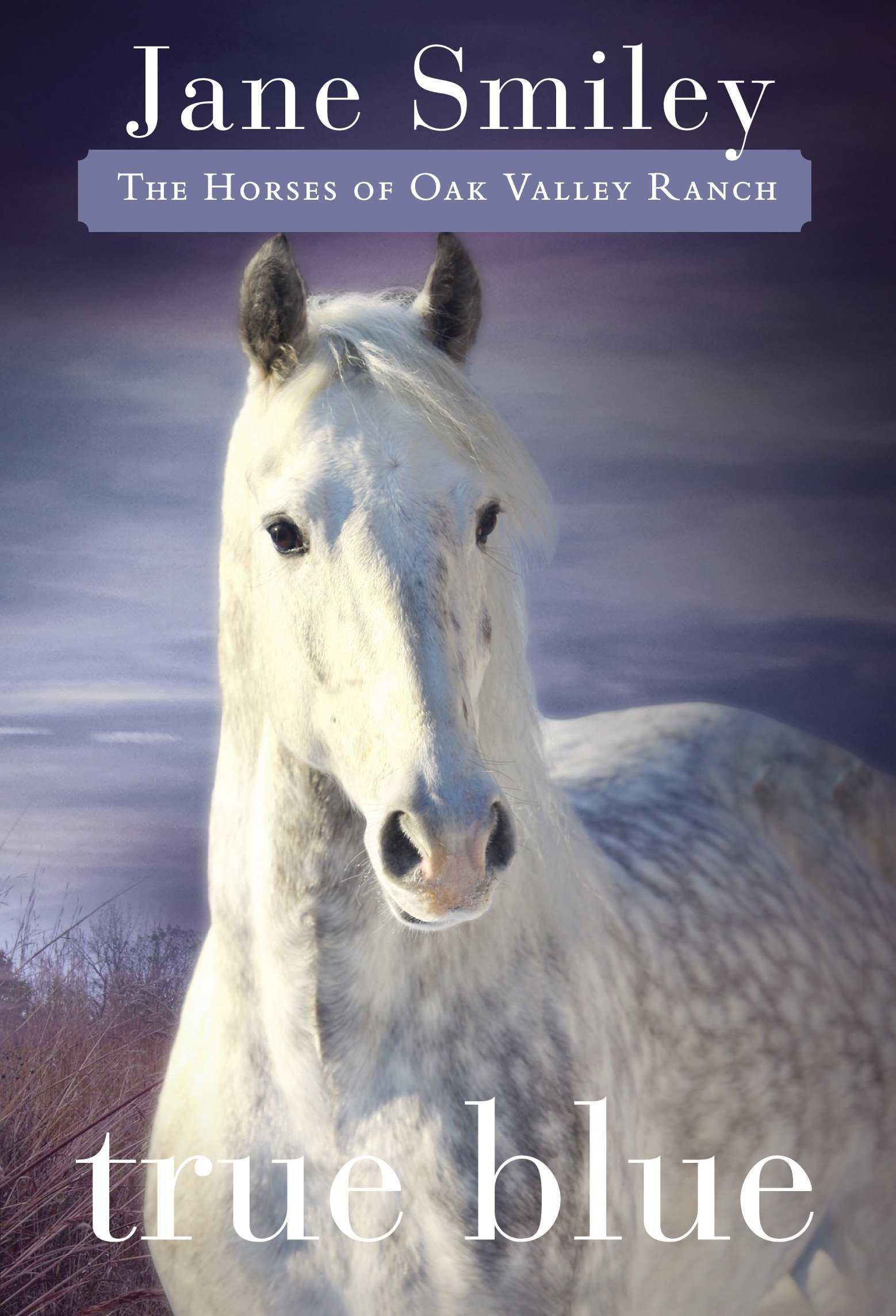 Algopix Similar Product 3 - True Blue Book Three of the Horses of