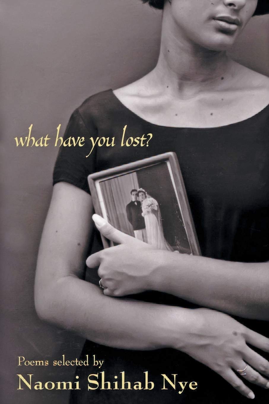 Algopix Similar Product 19 - What Have You Lost?