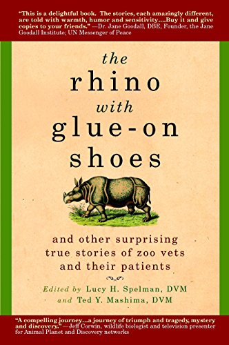 Algopix Similar Product 3 - The Rhino with GlueOn Shoes And Other