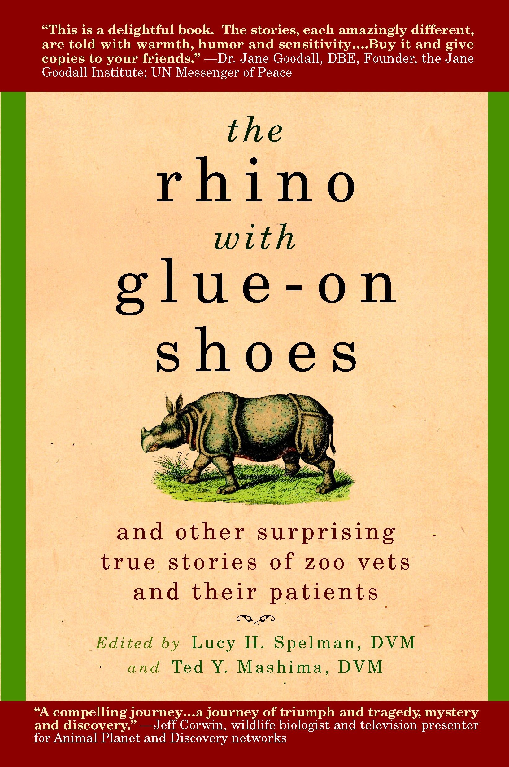 Algopix Similar Product 16 - The Rhino with GlueOn Shoes And Other