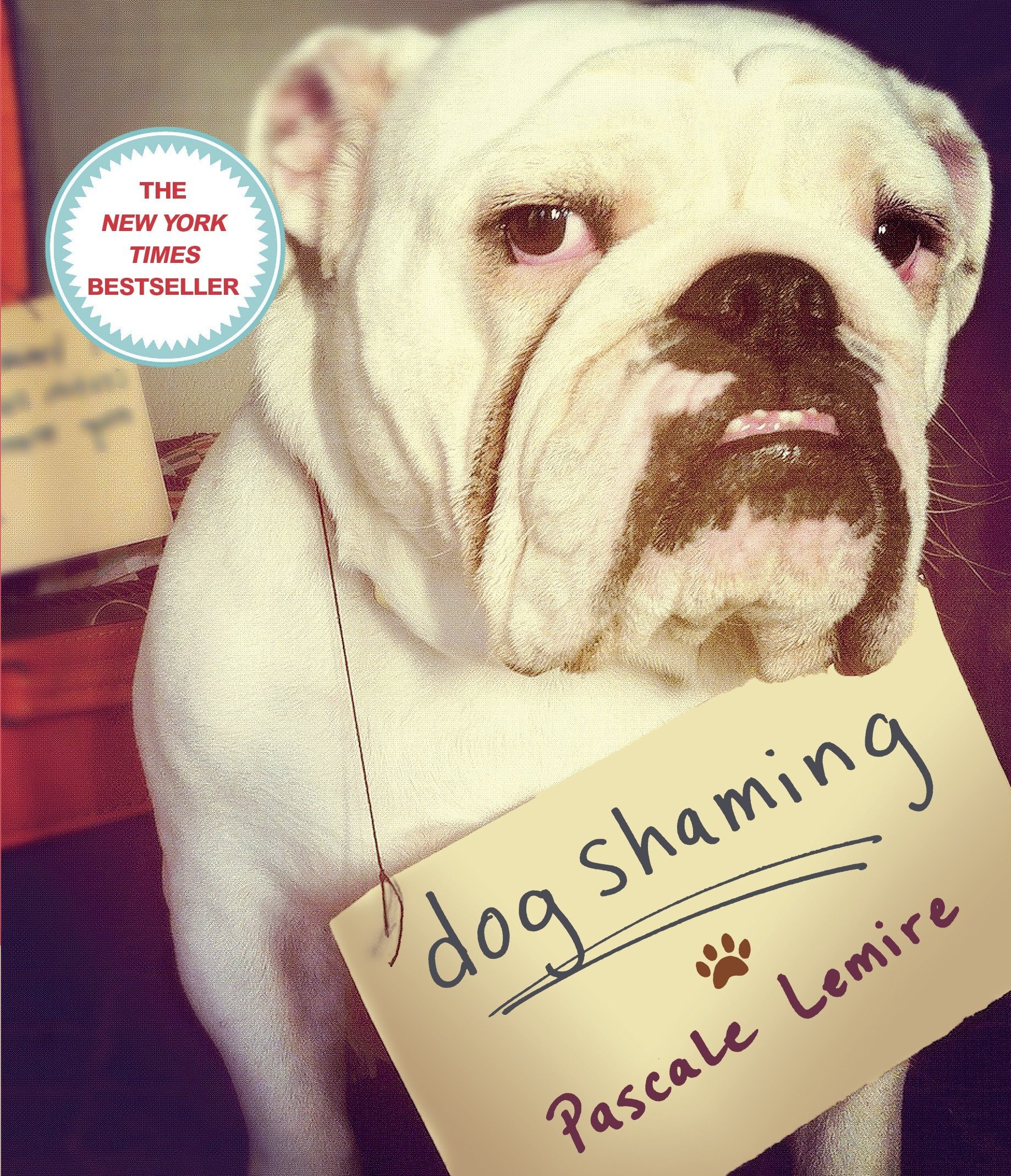 Algopix Similar Product 2 - Dog Shaming