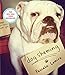 Algopix Similar Product 1 - Dog Shaming