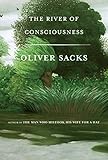 Algopix Similar Product 8 - The River of Consciousness