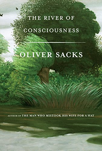 Algopix Similar Product 3 - The River of Consciousness
